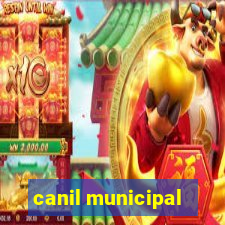 canil municipal